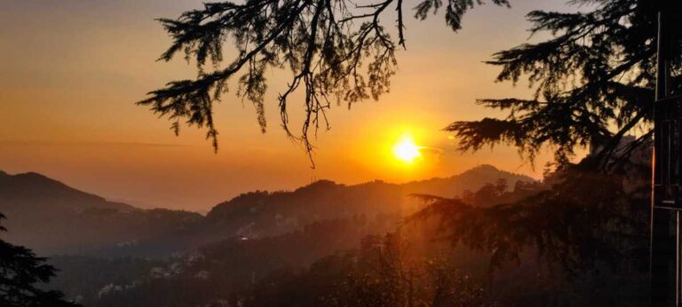 WhatsAppImage2026-02-15at6.32