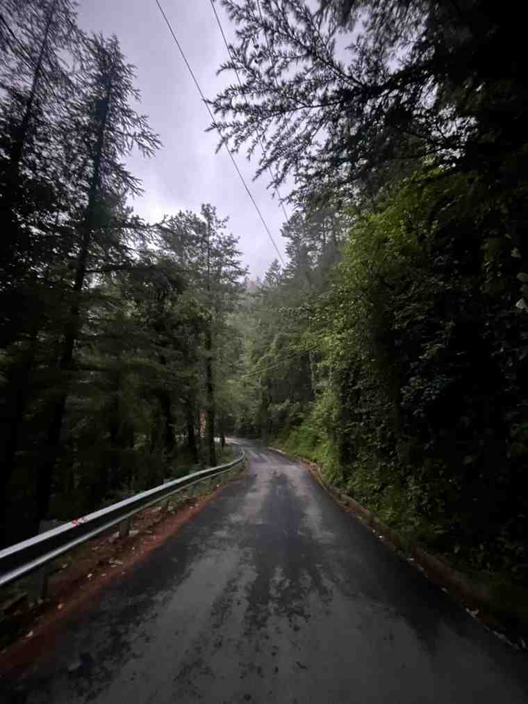 WhatsAppImage2026-02-15at8.24