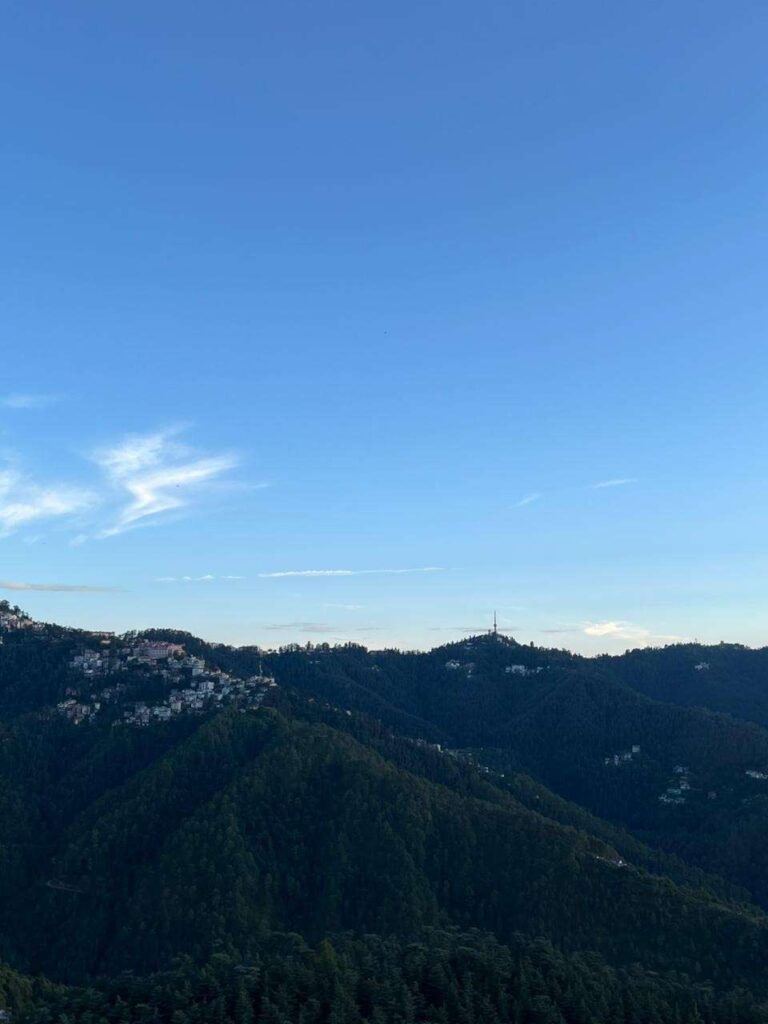 WhatsAppImage2026-02-15at8.24