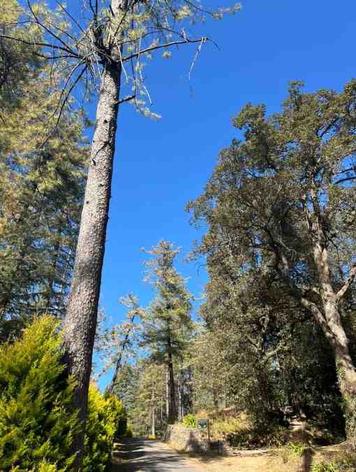 WhatsAppImage2026-02-15at8.24