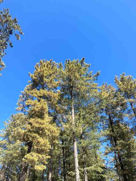 WhatsAppImage2026-02-15at8.24