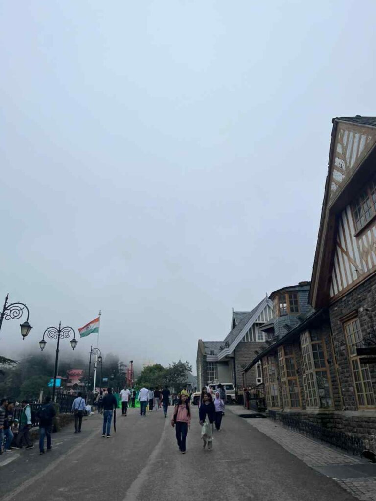 WhatsAppImage2026-02-15at8.24