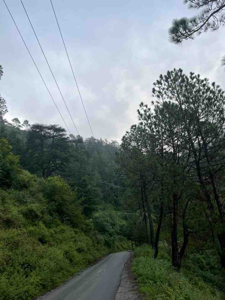 WhatsAppImage2026-02-15at8.24