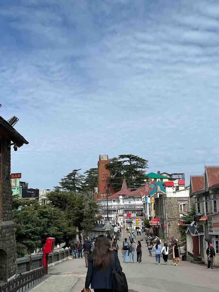 WhatsAppImage2026-02-15at8.24