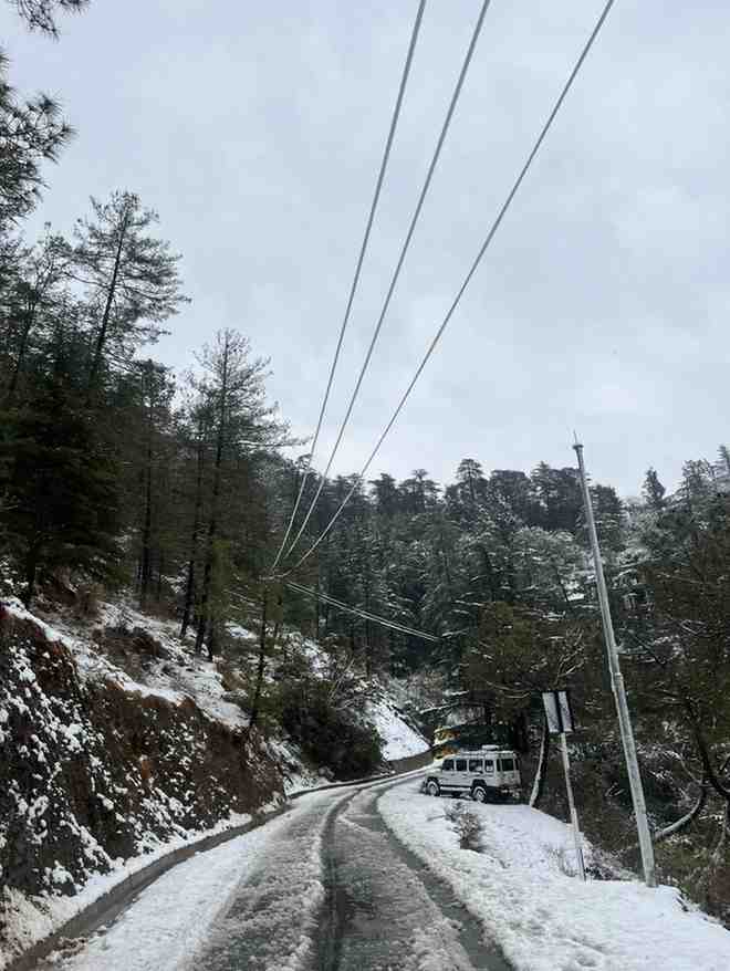 WhatsAppImage2026-02-15at8.24