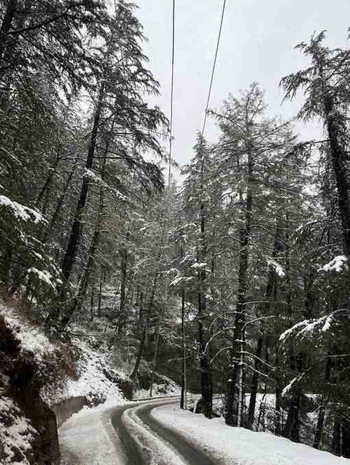 WhatsAppImage2026-02-15at8.24