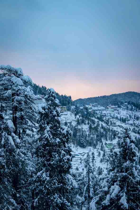 kanishka-jeewantha-d8s61vqhvuk-unsplash (1)